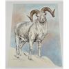 Image 2 : Doug Lindstrand Dall Sheep Print