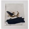 Image 2 : Civil War Shiloh Flag Fragments
