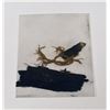 Image 3 : Civil War Shiloh Flag Fragments