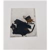 Image 2 : Civil War Shiloh Flag Fragments