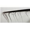 Image 5 : Alaskan Inuit Eskimo Whale Baleen
