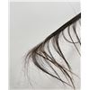 Image 9 : Alaskan Inuit Eskimo Whale Baleen