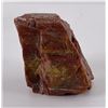 Image 1 : Arizona Rainbow Petrified Wood Chunk