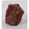 Image 2 : Arizona Rainbow Petrified Wood Chunk