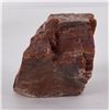 Image 3 : Arizona Rainbow Petrified Wood Chunk