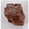 Image 5 : Arizona Rainbow Petrified Wood Chunk