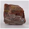 Image 6 : Arizona Rainbow Petrified Wood Chunk