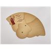 Image 2 : Coca Cola Paper Hand Fan Springfield