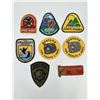 Image 1 : Montana Fish Wildlife and Parks Patches