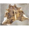 Image 1 : Tanned Brindle Steerhide Steer Bull Cow Rug