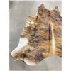 Image 2 : Tanned Brindle Steerhide Steer Bull Cow Rug