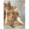 Image 3 : Tanned Brindle Steerhide Steer Bull Cow Rug