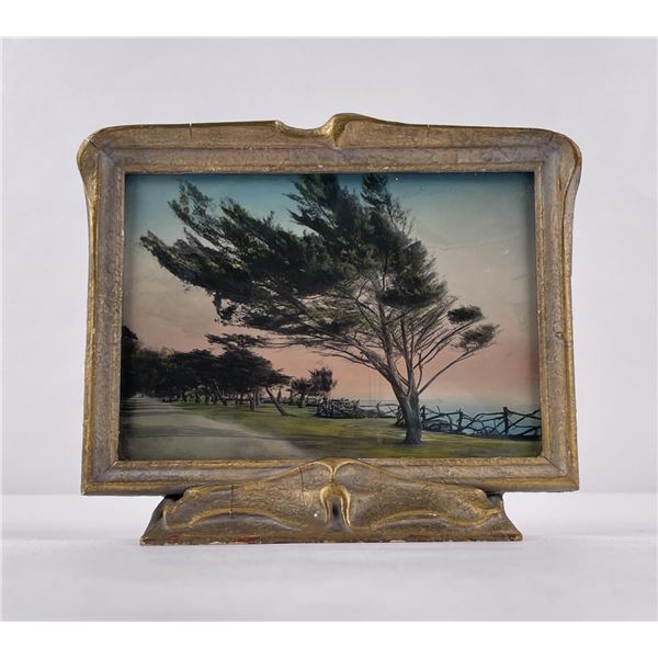 Antique California Coast Hand Tinted Photo