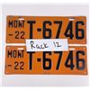 Image 3 : 1922 Montana License Plate Pair