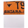 Image 2 : 1938 Montana License Plate