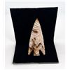 Image 1 : Indian Arrowhead