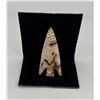 Image 2 : Indian Arrowhead