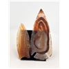 Image 1 : Agate Indian Arrowheads