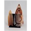 Image 2 : Agate Indian Arrowheads