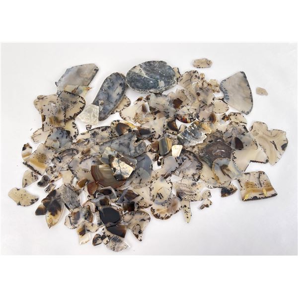 Large Collection of Montana Picture Agate