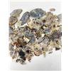 Image 3 : Large Collection of Montana Picture Agate