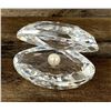 Image 1 : Swarovski 14389 Crystal Shell with Pearl