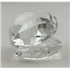 Image 7 : Swarovski 14389 Crystal Shell with Pearl