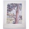 Image 1 : Tigger and Roo Winnie the Pooh Print