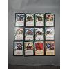 Image 3 : 25 Warlord Saga of the Storm Game Cards
