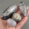 Image 1 : Set of 2 Orthoceras Fossils & 2 Polished Dendritic Agate Crystals