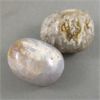 Image 4 : Set of 2 Orthoceras Fossils & 2 Polished Dendritic Agate Crystals