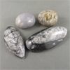 Image 5 : Set of 2 Orthoceras Fossils & 2 Polished Dendritic Agate Crystals