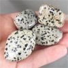 Image 1 : Set of 4 Polished Dalmatian Jasper Stones