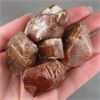 Image 1 : Set of 5 Polished Lodolite (Aka Inclusion Quartz) Crystals