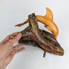Image 2 : Set of 3 Dolphin Statues - Wood & Horn