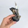 Image 7 : Set of 3 Dolphin Statues - Wood & Horn