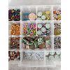 Image 2 : Large Bead Box Organizer with Contents