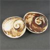 Image 2 : 2 Polished Cats Eye Shell Fossils & 1 Orthoceras Fossil 