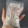 Image 1 : Lot of Mixed Fossils - Sand Shark Teeth, Stingray Teeth, Gastropod Shells, Coral Fossils & Trilobits