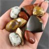Image 4 : Mixed Lot of Polished Jasper Specimens - Kiwi, Red, Picture, Cheetah & Polychrome Jasper