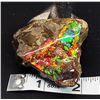 NATURAL 609.5 CT AMMOLITE TABLETOP