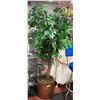 Image 1 : ESTATE FAUX PLANT WITH LION COPPER POT APPROX