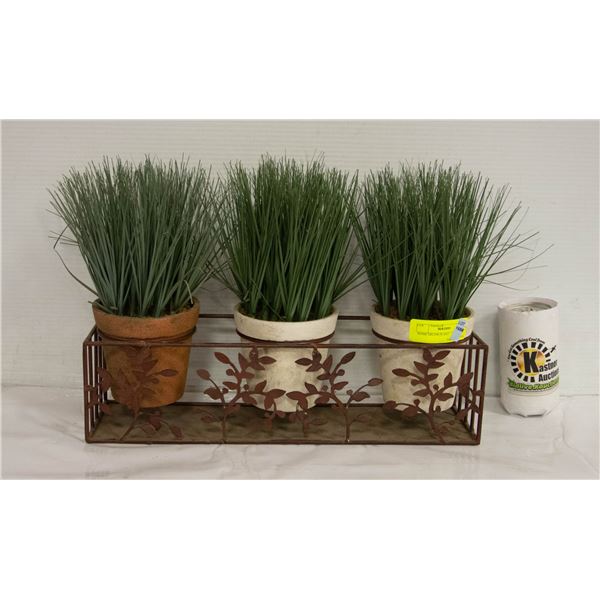 HOME DECOR PLANT
