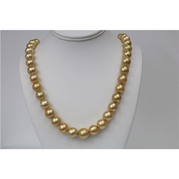 12-14mm South Sea Golden Near Round Necklace with Gold Clasp