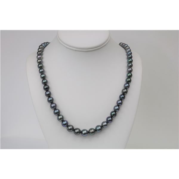 8-10mm Tahitian Dark/Blue Round Necklace with Gold Clasp