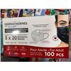 Image 2 : Dermathermes 3 Protective layers Adult 5x20 Masks Lot of 6 Boxes