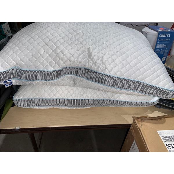 Sealy Pillows Lot of 2