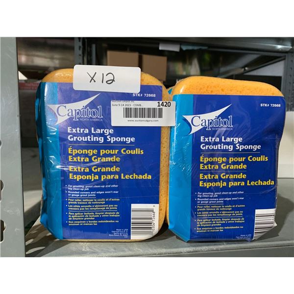 Capitol Extra Large Grouting Sponge - Lot of 12