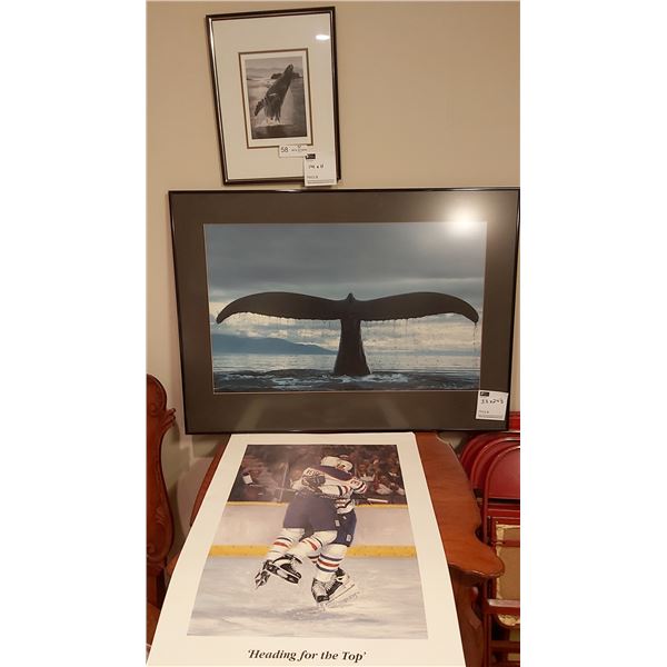 2 Whale Pictures & Hockey Poster