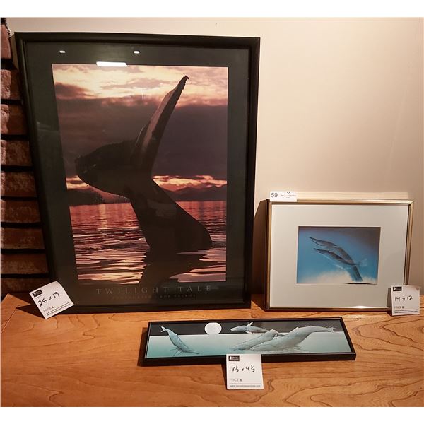 3 Whale Pictures